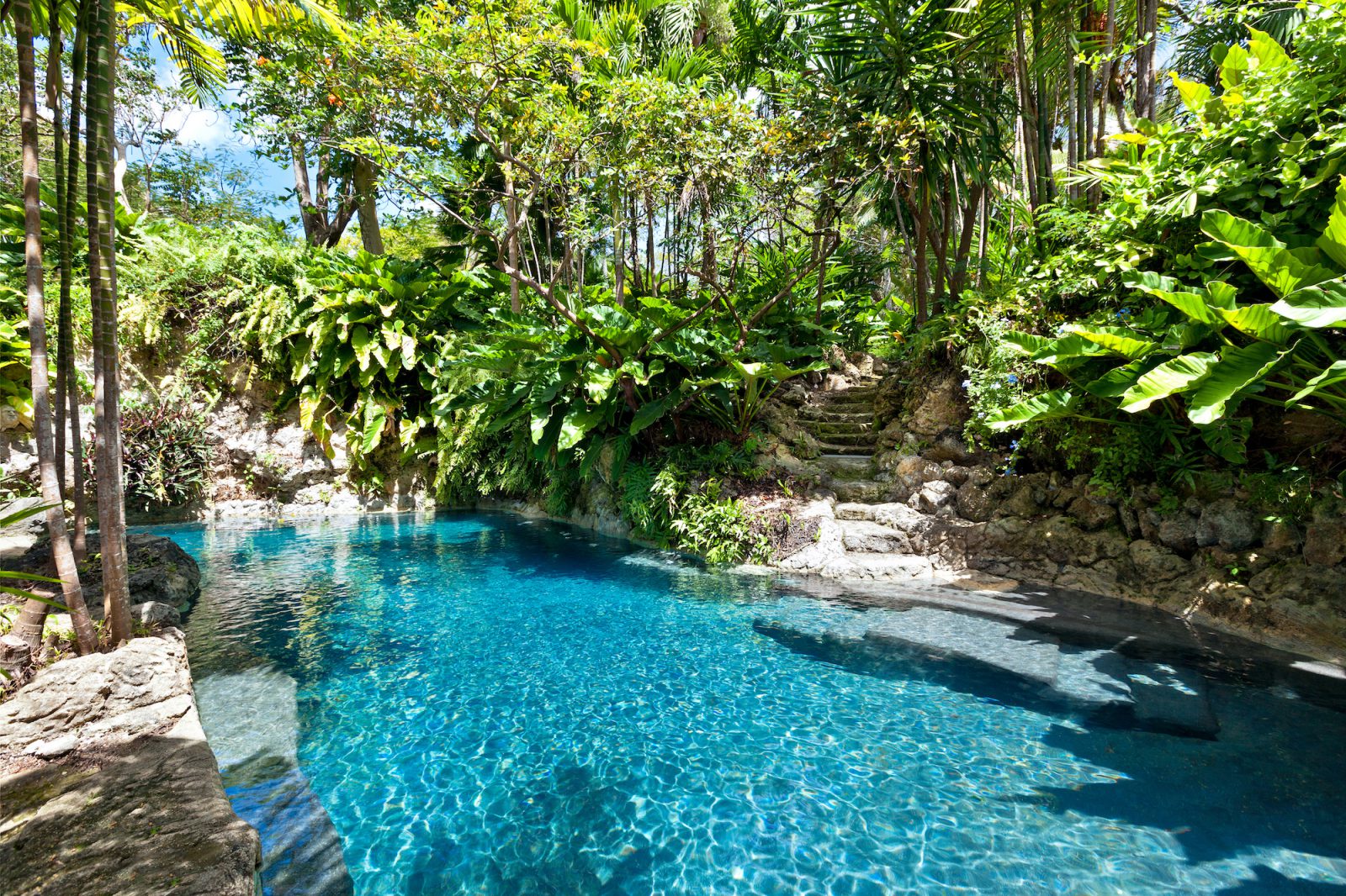 FustichouseBarbadosvillapool Barbados Barbados