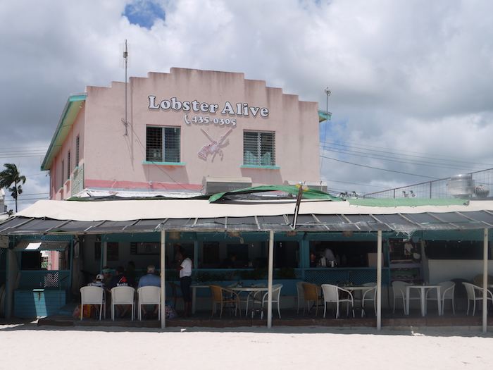 Lobster Alive Barbados Barbados Barbados