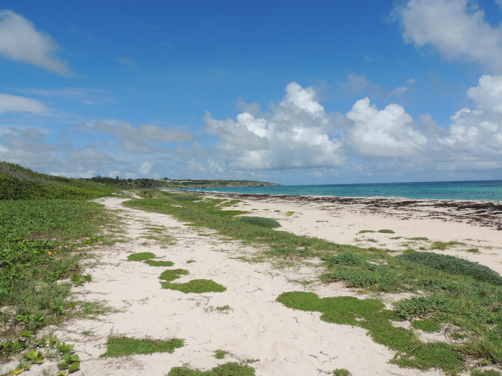 Long Beach Barbados Long Beach Barbados