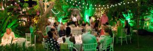cobblers-cove-barbados-live-cabaret